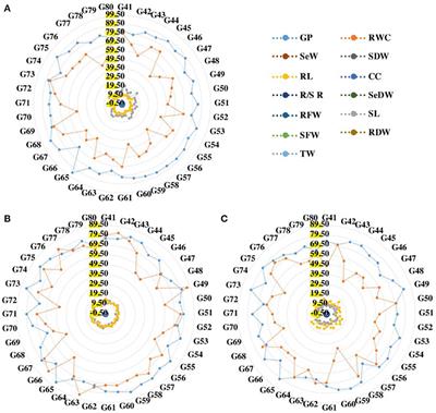 Conferring of drought tolerance in wheat (Triticum aestivum L.) genotypes using seedling indices
